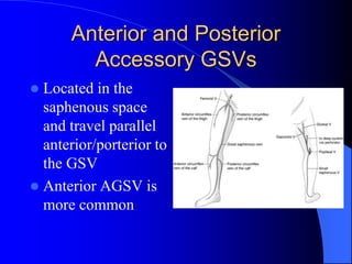 THE MIGHTY GSV2 | PPTX