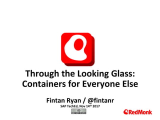10.20.2005
Through	the	Looking	Glass:	
Containers	for	Everyone	Else
Fintan	Ryan	/	@fintanr
SAP	TechEd,	Nov	14th 2017
 
