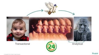 © Copyright 2014 Pivotal. All rights reserved.
Transactional
User Mgmt
Order Mgmt
Shipping
Inventory
Payment
Analytical
 