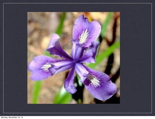 Monday, November 18, 13

 