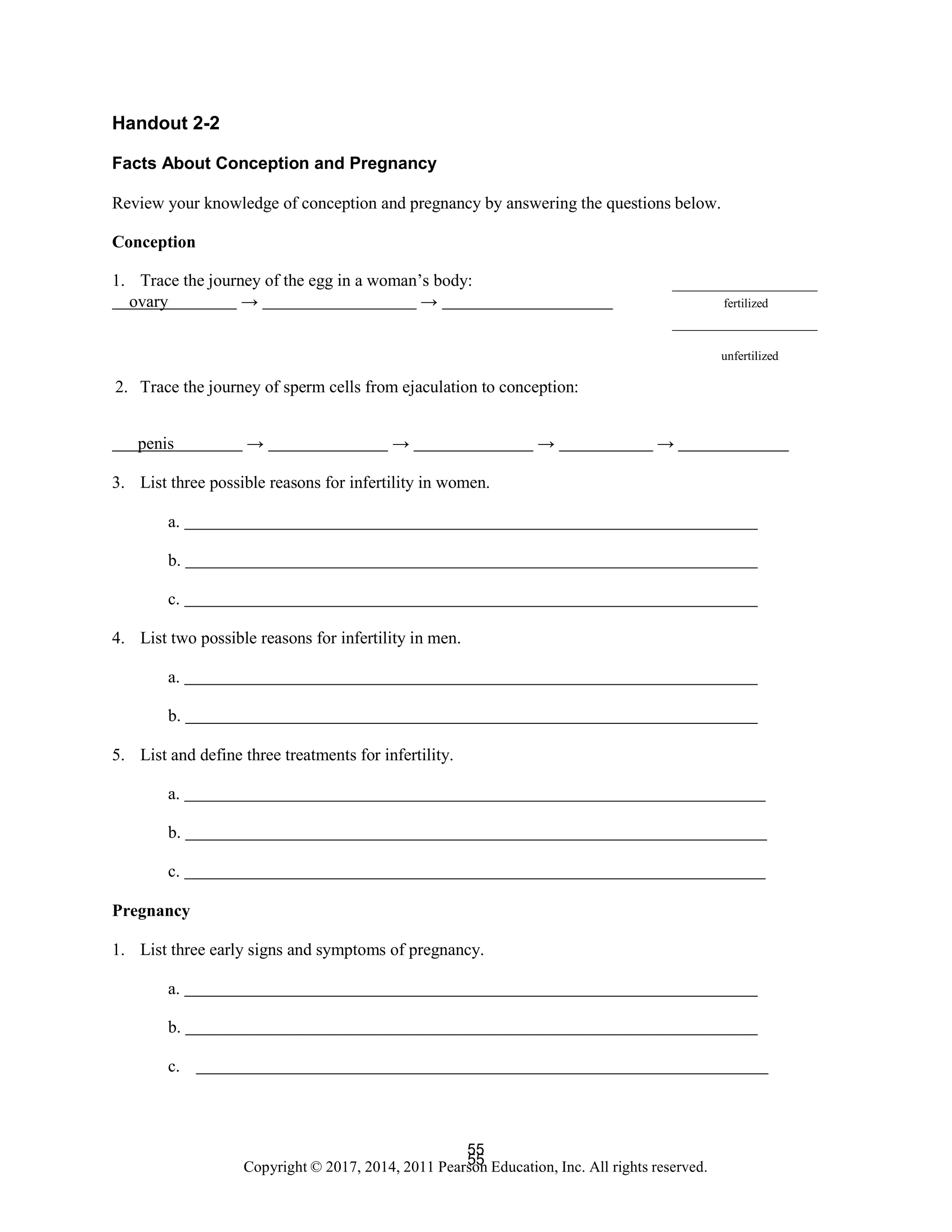 55
Copyright © 2017, 2014, 2011 Pearson Education, Inc. All rights reserved.
55
Handout 2-2
Facts About Conception and Pregnancy
Review your knowledge of conception and pregnancy by answering the questions below.
Conception
1. Trace the journey of the egg in a woman’s body:
ovary → → fertilized
2. Trace the journey of sperm cells from ejaculation to conception:
unfertilized
penis → → → →
3. List three possible reasons for infertility in women.
a.
b.
c.
4. List two possible reasons for infertility in men.
a.
b.
5. List and define three treatments for infertility.
a.
b.
c.
Pregnancy
1. List three early signs and symptoms of pregnancy.
a.
b.
c.
 