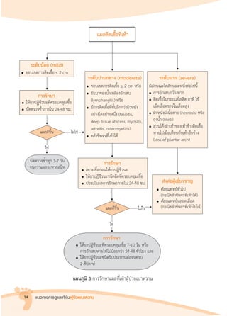 แนวทางการดูแลเท้าในผู้ป่วยเบาหวาน