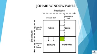 JOHARI WINDOW PANES
 