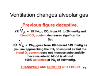 Ventilation changes alveolar gas
      Previous ﬁgure deceptive.
 2X VA = 1/2 PACO2 CO2 from 40 to 20 mmHg and
     blood CO2 content decreases signiﬁcantly
                       But
 2X VA = PAO2 goes from 104 toward 149 mmHg as
 you are approaching the PO2 of inspired air but the
  blood O2 content does not increase substantially
          because arterial blood is almost
        100% saturated at PO2 of 100mmHg.

     TRANSPORT AND CONTENT NEXT HOUR             11
 