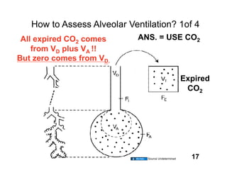 How to Assess Alveolar Ventilation? 1of 4
 All expired CO2 comes      ANS. = USE CO2
    from VD plus VA !!
But zero comes from VD.

                                                     Expired
                                                      CO2




                               Source Undetermined     17
 