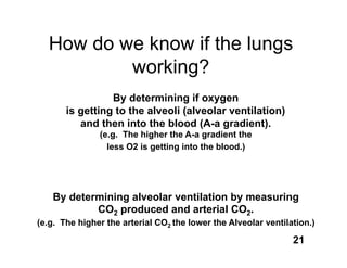 How do we know if the lungs
          working?
                 By determining if oxygen
       is getting to the alveoli (alveolar ventilation)
          and then into the blood (A-a gradient).
               (e.g. The higher the A-a gradient the
                 less O2 is getting into the blood.)




   By determining alveolar ventilation by measuring
           CO2 produced and arterial CO2.
(e.g. The higher the arterial CO2 the lower the Alveolar ventilation.)

                                                                21
 