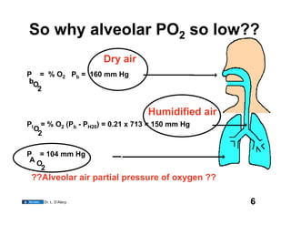 So why alveolar PO2 so low??
                         Dry air
P = % O2 Pb = 160 mm Hg
bO
  2


                                     Humidified air
PI     = % O2 (Pb - PH20) = 0.21 x 713 = 150 mm Hg
     O
      2

P = 104 mm Hg
 AO
   2
 ??Alveolar air partial pressure of oxygen ??

        Dr. L. D’Alecy                                6
 
