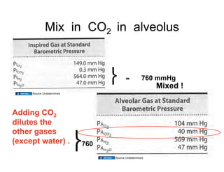 Mix in CO2 in alveolus


                                        =         760 mmHg
                                                       Mixed !
     Source Undetermined




Adding CO2
dilutes the
other gases
(except water) .           760
                                 Source Undetermined
                                                                 8
 