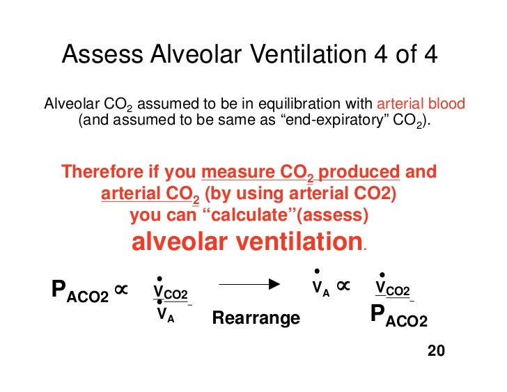 11.17.08(b) Alveolar Ventilation II