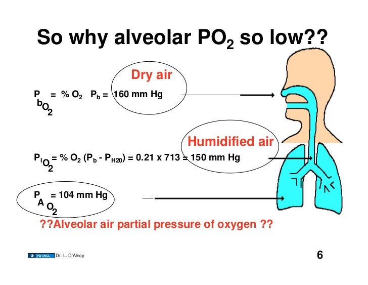 11.17.08(b) Alveolar Ventilation II