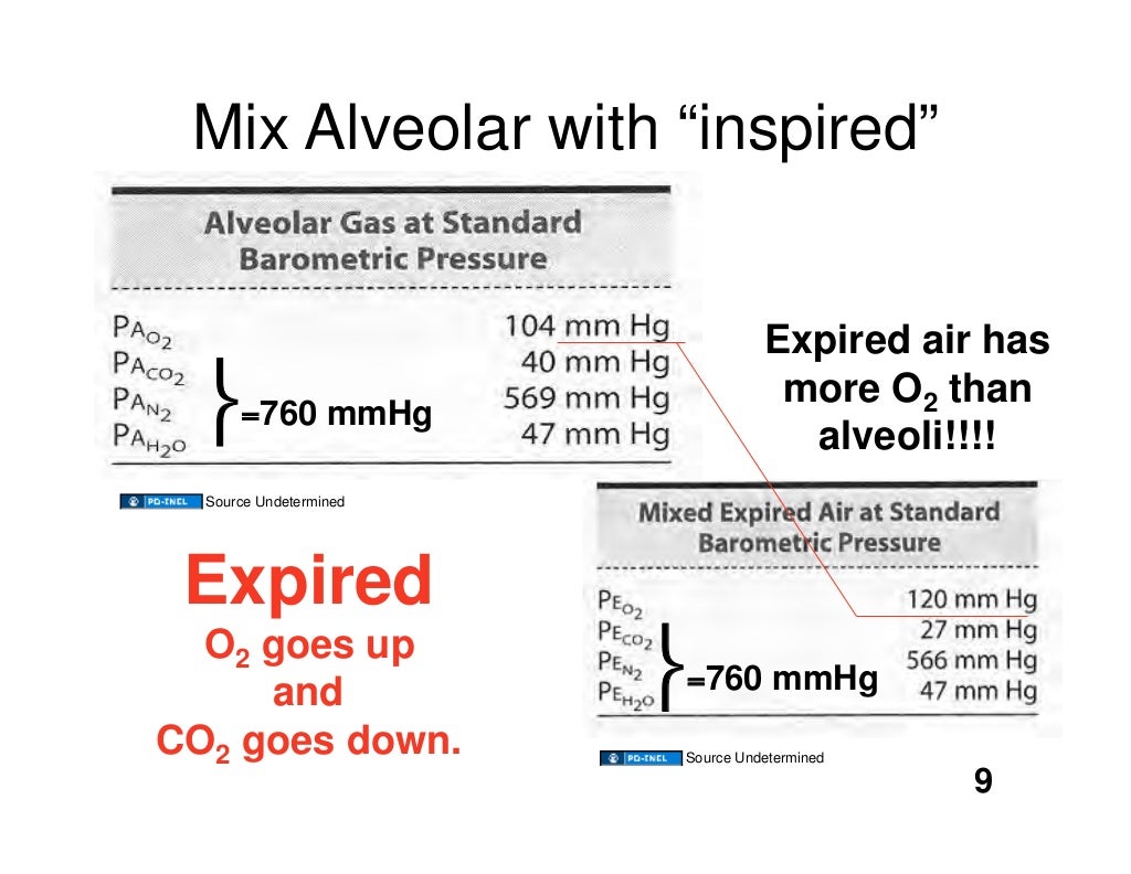 11.17.08(b) Alveolar Ventilation II