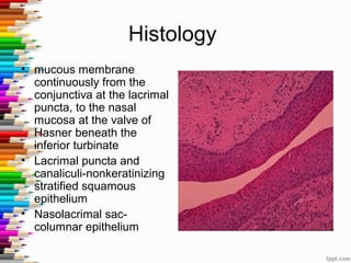Histology
• mucous membrane
continuously from the
conjunctiva at the lacrimal
puncta, to the nasal
mucosa at the valve of
Hasner beneath the
inferior turbinate
• Lacrimal puncta and
canaliculi-nonkeratinizing
stratified squamous
epithelium
• Nasolacrimal sac-
columnar epithelium
 