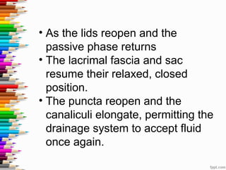 • As the lids reopen and the
passive phase returns
• The lacrimal fascia and sac
resume their relaxed, closed
position.
• The puncta reopen and the
canaliculi elongate, permitting the
drainage system to accept fluid
once again.
 