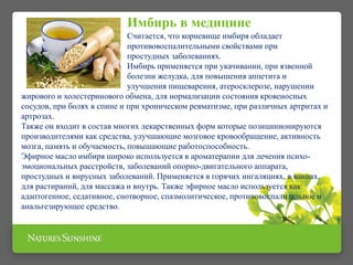 Имбирь в медицине
Считается, что корневище имбиря обладает
противовоспалительными свойствами при
простудных заболеваниях.
Имбирь применяется при укачивании, при язвенной
болезни желудка, для повышения аппетита и
улучшения пищеварения, атеросклерозе, нарушении
жирового и холестеринового обмена, для нормализации состояния кровеносных
сосудов, при болях в спине и при хроническом ревматизме, при различных артритах и
артрозах.
Также он входит в состав многих лекарственных форм которые позицинионируются
производителями как средства, улучшающие мозговое кровообращение, активность
мозга, память и обучаемость, повышающие работоспособность.
Эфирное масло имбиря широко используется в ароматерапии для лечения психо-
эмоциональных расстройств, заболеваний опорно-двигательного аппарата,
простудных и вирусных заболеваний. Применяется в горячих ингаляциях, в ваннах,
для растираний, для массажа и внутрь. Также эфирное масло используется как
адаптогенное, седативное, снотворное, спазмолитическое, противовоспалительное и
анальгезирующее средство.
 