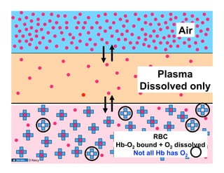Air
                          Air




                    Plasma
                 Dissolved only



                     RBC
          Hb-O2 bound + O2 dissolved
              Not all Hb has O2
10
D’Alecy
 