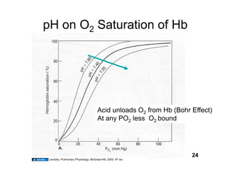 pH on O2 Saturation of Hb




                                      Acid unloads O2 from Hb (Bohr Effect)
                                      At any PO2 less O2 bound




                                                                    24
 Levitzky. Pulmonary Physiology. McGraw-Hill, 2003. 6th ed.
 
