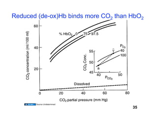 Reduced (de-ox)Hb binds more CO2 than HbO2




       Source Undetermined
                                      35
 