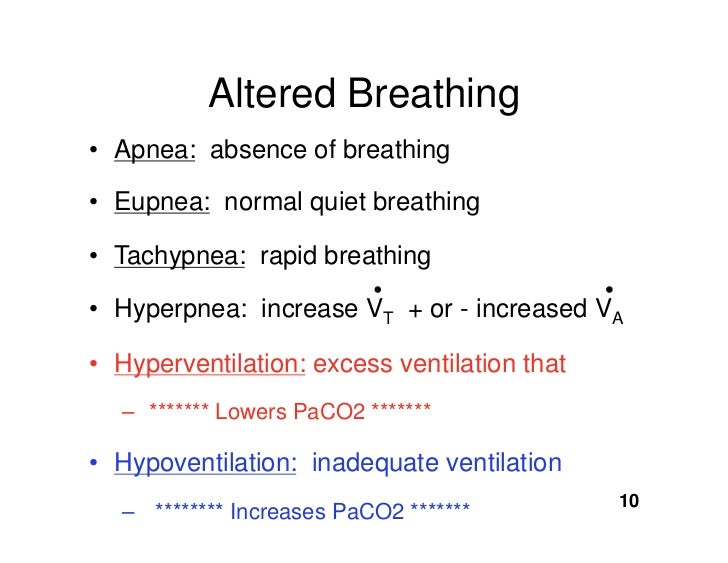 11.18.08(b) Respiratory Control, Ventilation, and Regulation of PaCO2