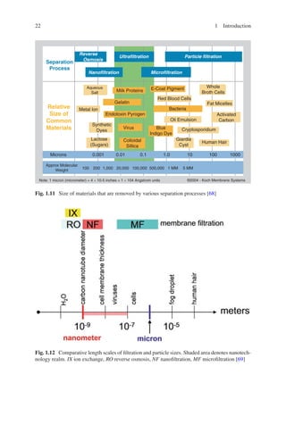Nanotechnology In Membrane Processes Kailash Chandra Khulbe Takeshi ...