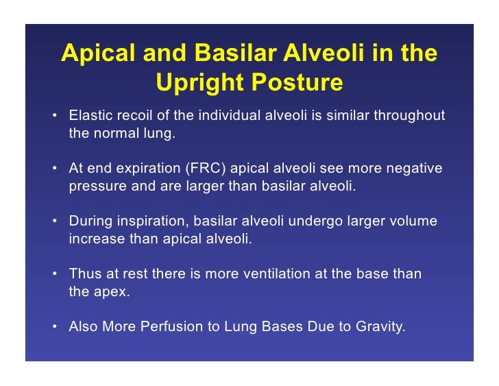 11.19.08 Ventilation/Perfusion Matching