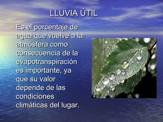 LLUVIA ÚTILLLUVIA ÚTIL
• Es el porcentaje deEs el porcentaje de
agua que vuelve a laagua que vuelve a la
atmósfera comoatmósfera como
consecuencia de laconsecuencia de la
evapotranspiraciónevapotranspiración
es importante, yaes importante, ya
que su valorque su valor
depende de lasdepende de las
condicionescondiciones
climáticas del lugar.climáticas del lugar.
 