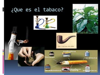 ¿Que es el tabaco?
 