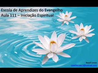 Escola de Aprendizes do Evangelho
Aula 111 – Iniciação Espiritual
Roselí Lemes
roselilemes1@hotmail.com
 