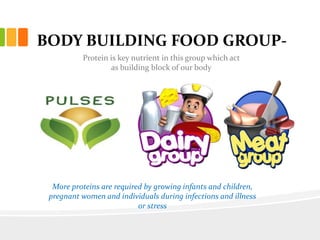 BODY BUILDING FOOD GROUP-
Protein is key nutrient in this group which act
as building block of our body
More proteins are required by growing infants and children,
pregnant women and individuals during infections and illness
or stress
 