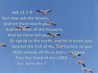 “The heavens declare the glory of God; the skies proclaim the work of his hands.Day after day they pour forth speech; night after night they display knowledge.”Psalms 19:1-2