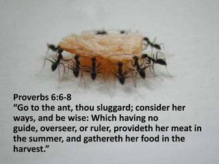            Job 12:7-9 "But now ask the beasts,    And let them teach you;     And the birds of the heavens,        And let them tell you.          Or speak to the earth, and let it teach you;           And let the fish of the sea declare to you.             Who among all these does not know              That the hand of the LORD has done this?”