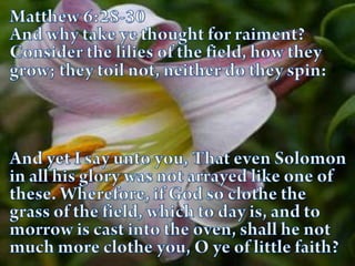 Proverbs 6:6-8“Go to the ant, thou sluggard; consider her ways, and be wise: Which having no guide, overseer, or ruler, provideth her meat in the summer, and gathereth her food in the harvest.”