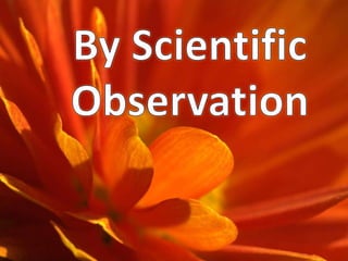 Matthew 6:28-30And why take ye thought for raiment? Consider the lilies of the field, how they grow; they toil not, neither do they spin: And yet I say unto you, That even Solomon in all his glory was not arrayed like one of these. Wherefore, if God so clothe the grass of the field, which to day is, and to morrow is cast into the oven, shall he not much more clothe you, O ye of little faith? 