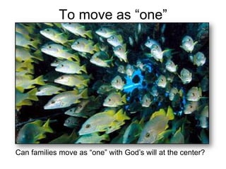   True object of absolute love and joy for God