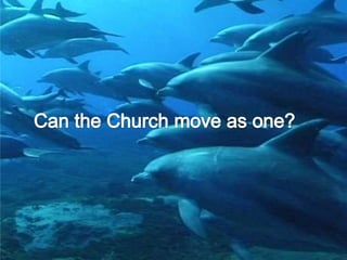   Qualified co-creator of goodness through realizing the three BlessingsThe Purpose of CreationThe realization of the home of lovefor you, for your eternal partner, and even for the Creator and Source of Love.
