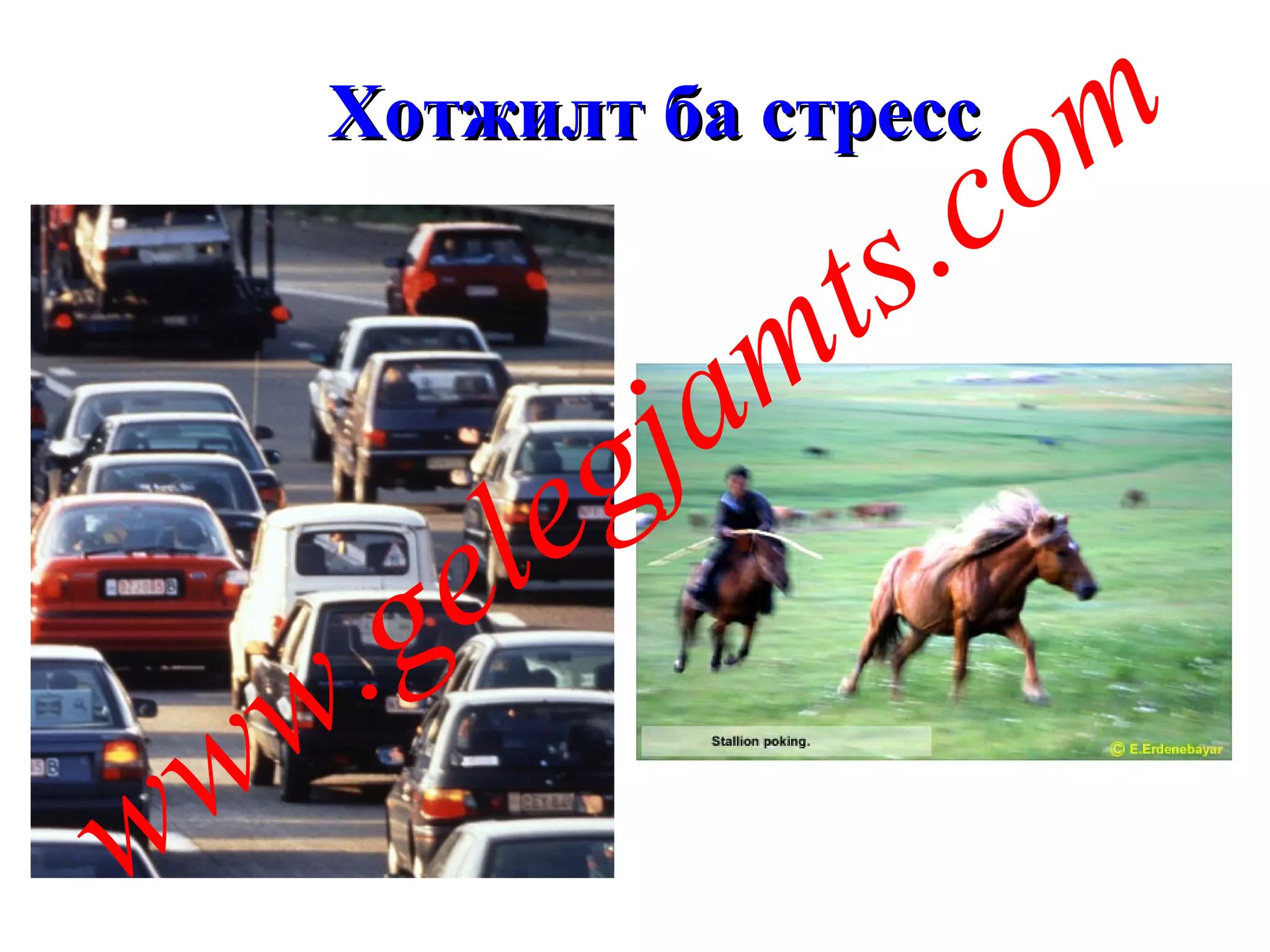 Хотжилт ба стресс www.gelegjamts.com 