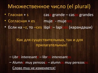 ߧا֧ӧ֧ߧߧ ڧݧ (l plural)
? ݧѧߧѧ + s casa grande C casas grandes
? ԧݧѧߧѧ + es mujer - mujeres
? ݧ ߧ Cz,  Cces lpiz C lapices (ܧѧѧߧէѧ)
ѧ էݧ ֧ӧڧ֧ݧߧ, ѧ  էݧ
ڧݧѧԧѧ֧ݧߧ!
C Libro interesante C libros interesantes
C Alumno muy perezoso C alumnos muy perezosos
Cݧӧ muy ߧ ڧ٧ާ֧ߧ֧!
 