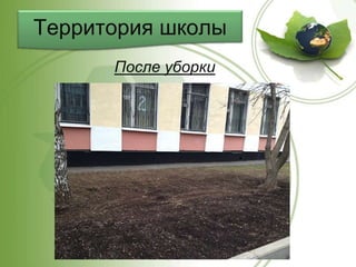 Территория школы
После уборки