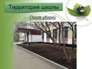 Территория школы
После уборки
