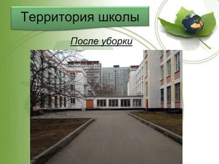 Территория школы
После уборки