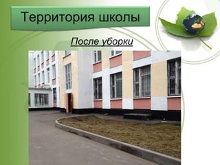 Территория школы
После уборки