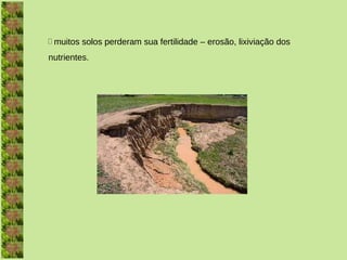  muitos solos perderam sua fertilidade – erosão, lixiviação dos
nutrientes.
 