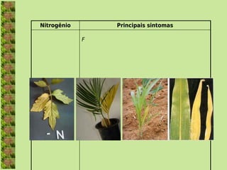 Nitrogênio       Principais sintomas

             F
 