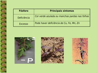 Fósforo                   Principais sintomas

              Cor verde azulada ou manchas pardas nas folhas
Deficiência

 Excesso      Pode haver deficiência de Cu, Fe, Mn, Zn
 