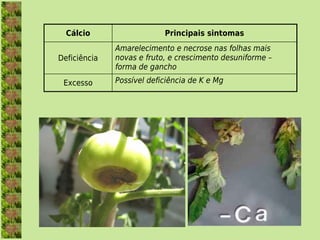 Cálcio                   Principais sintomas
              Amarelecimento e necrose nas folhas mais
Deficiência   novas e fruto, e crescimento desuniforme –
              forma de gancho

 Excesso      Possível deficiência de K e Mg
 