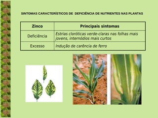 SINTOMAS CARACTERÍSTICOS DE  DEFICIÊNCIA DE NUTRIENTES NAS PLANTAS



     Zinco                     Principais sintomas
                  Estrias cloróticas verde-claras nas folhas mais
   Deficiência
                  jovens, internódios mais curtos
    Excesso       Indução de carência de ferro
 
