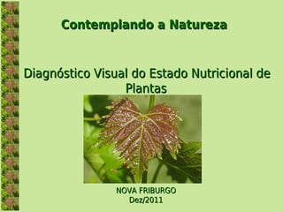 Contemplando a Natureza


Diagnóstico Visual do Estado Nutricional de
                 Plantas




                NOVA FRIBURGO
                  Dez/2011
 