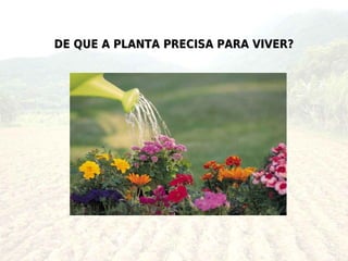 DE QUE A PLANTA PRECISA PARA VIVER?
 