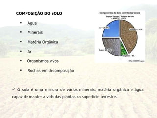 COMPOSIÇÃO DO SOLO

       Água

       Minerais

       Matéria Orgânica

       Ar

       Organismos vivos

       Rochas em decomposição



 O solo é uma mistura de vários minerais, matéria orgânica e água
capaz de manter a vida das plantas na superfície terrestre.
 