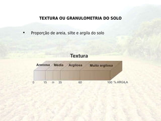 TEXTURA OU GRANULOMETRIA DO SOLO


   Proporção de areia, silte e argila do solo
 