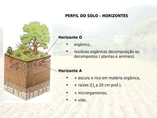 PERFIL DO SOLO – HORIZONTES




Horizonte O
      orgânico,
      resíduos orgânicos decomposição ou
       decompostos ( plantas e animais).


Horizonte A
      + escuro e rico em matéria orgânica,
      + raízes ([]s a 20 cm prof.),
      + microrganismos,
      + vida.
 